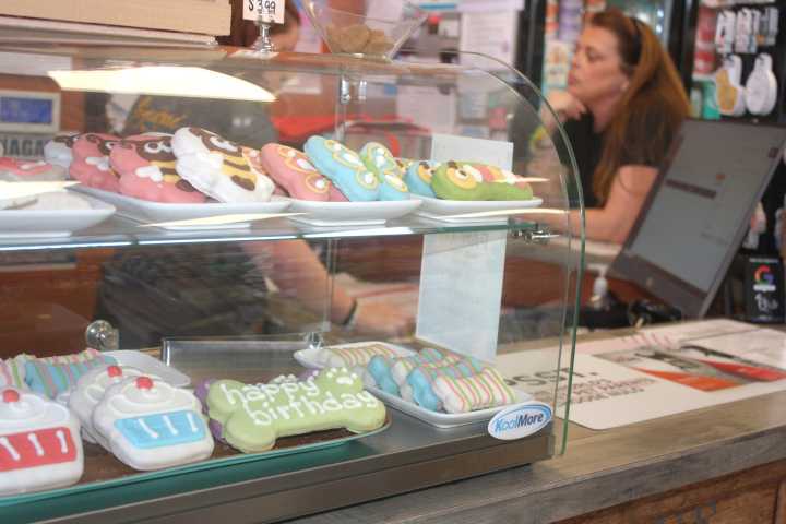 Pet store to host pop-up food bank tomorrow