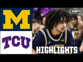 Michigan Wolverines vs. TCU Horned Frogs 
