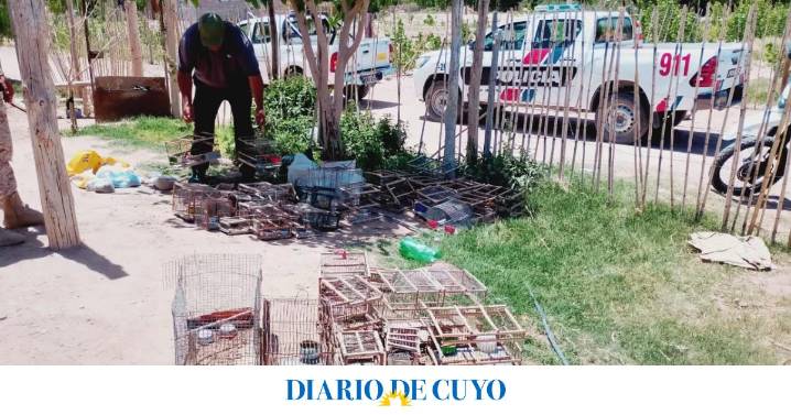 Detuvieron a dos sanjuaninos con 36 aves autóctonas en Sarmiento