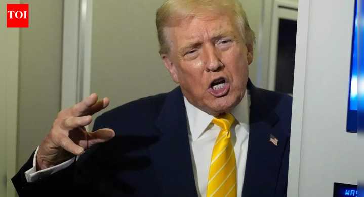 Row erupts over Trump calling woman journalist ‘piggy’ over Epstein question: ‘Should be written on his tombstone'