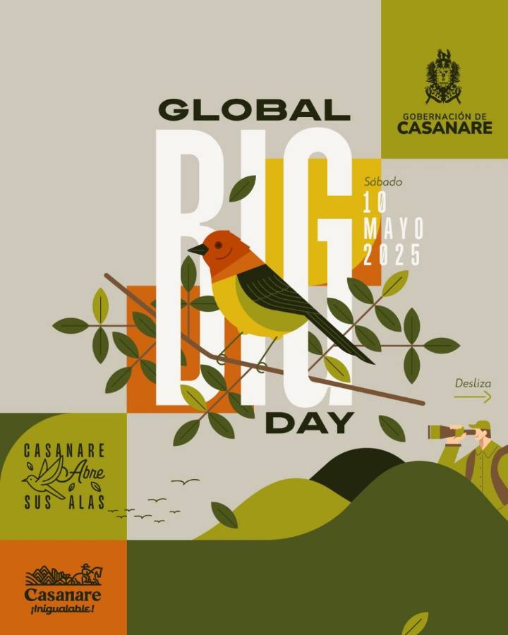 “Casanare abre sus alas” en el Global Big Day 2025