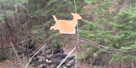 United Northern Sportsmen opens unique rifle range to the public in advance of deer season