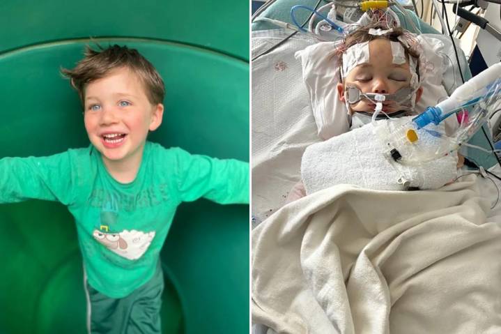 Family sues San Diego after boy, 4, is killed by fallen tree branch