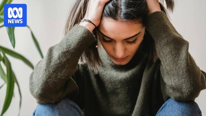 Tick-bite illnesses can be complex and debilitating. Are we any closer to understanding them?