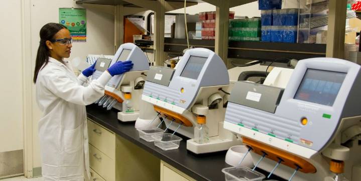 Guest Commentary: Higher Ed’s Answer to Our Lost Jobs