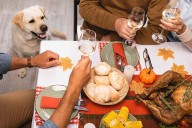 Dad Tells Kids They Can't Bring Dog to Thanksgiving Dinner Due to New Girlfriend