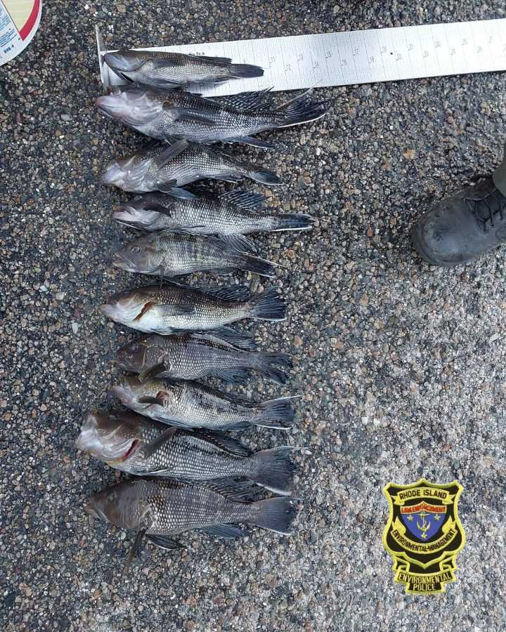 R.I. officials nab alleged undersized fish poachers from Mass.