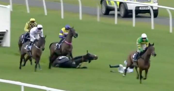 Ruby Walsh analyses shock falls from Constitution Hill and The New Lion in Fighting Fifth