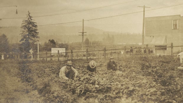 City of Burnaby makes formal apology for decades of discrimination against people of Chinese descent