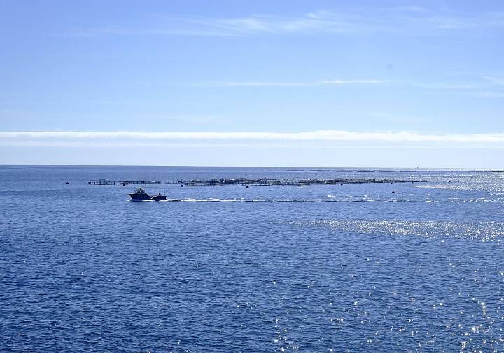 Emergencias limita la alerta por contaminación marina a Telde
