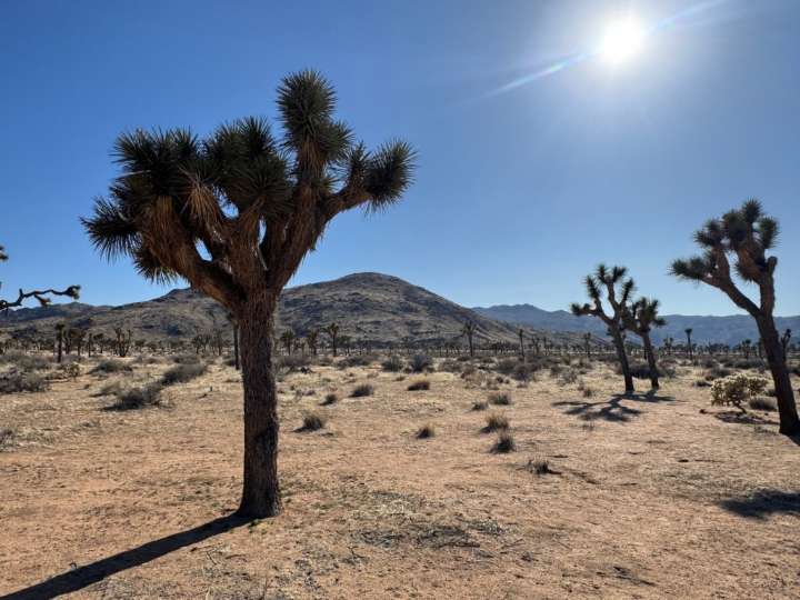 The ripple effect: How Washington gridlock silences small