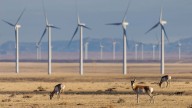 Wind, Solar Projects Should Pay For Harming Wyoming Wildlife, Legislator Says