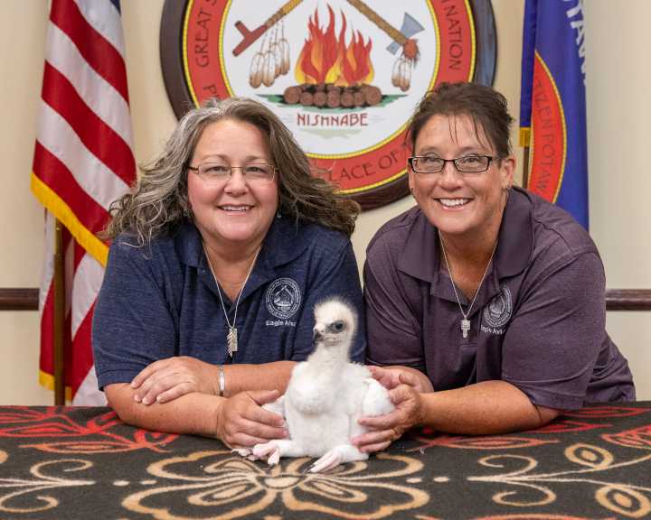 Historic release from tribal aviary represents cultural healing and species conservation