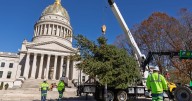 West Virginia's Capitol Christmas Tree to be lit next Thursday