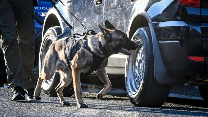 Nazareth Borough Council green