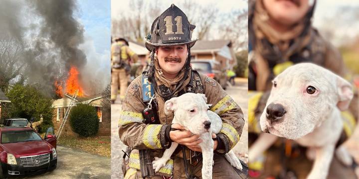 Puppy rescued from burning house in northeast Charlotte: See photos here