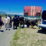 Frustran asalto a mano armada y arrestan a dos...