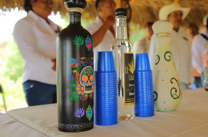 Preparan programa para asesorar a productores mezcaleros en su proceso de certificación