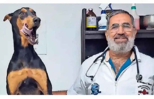 Mejora el mundo 'una patita a la vez'