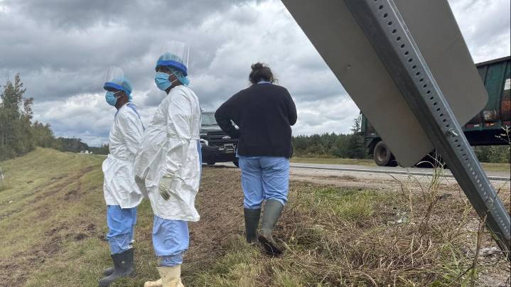 2nd escaped monkey fatally shot, leaving 1 monkey still on the loose after Mississippi crash