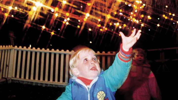 Remembering the World's Largest Living Christmas Tree in…