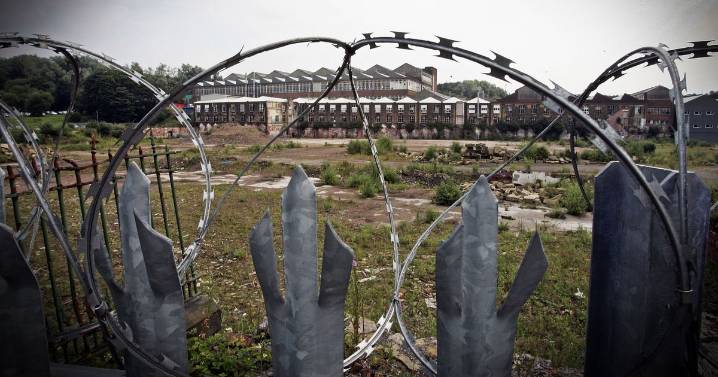 The shadow in the trees over Spodden Park