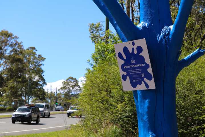 Visible reminder to spark mental health conversations in Maitland