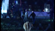 I-270 South in Hilliard reopens after loose cow on the freeway is captured