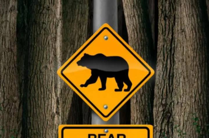 Oso ataca a grupo escolar y deja 11 heridos en Canadá