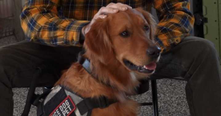 K9 Care Montana gives back to veterans through lifelong Canine companionship