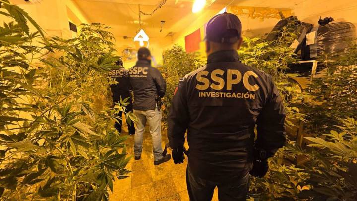 Aseguran Laboratorio Clandestino e Incautan Casi Media Tonelada de Metanfetaminas en Culiacán