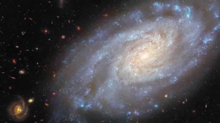 Hubble sees spiral galaxy in Lion's heart | Space photo of the day for Nov. 4, 2025