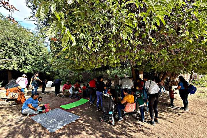 Niñas y niños del CAM “8 de octubre” aprenden sobre agricultura y medio ambiente en la UABCS