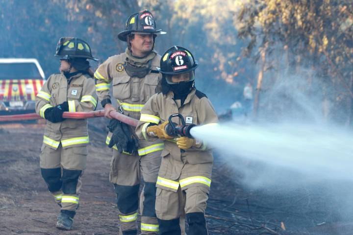 Senapred declara alerta roja en La Estrella por incendio forestal: preocupación por riesgo de propagación a viviendas
