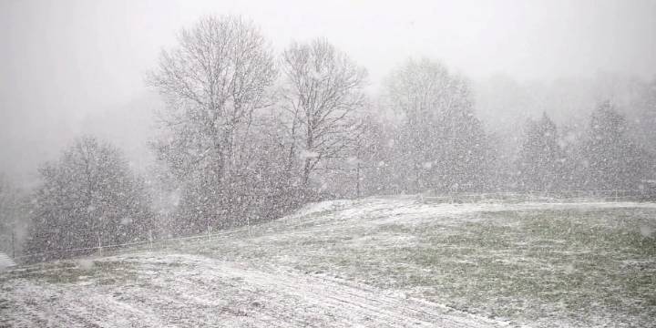 WATCH LIVE: Tracking first snowflakes of 2025