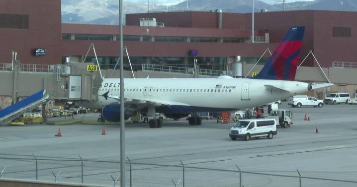 Air traffic reduction only 'band-aid solution' to problem, insider claims