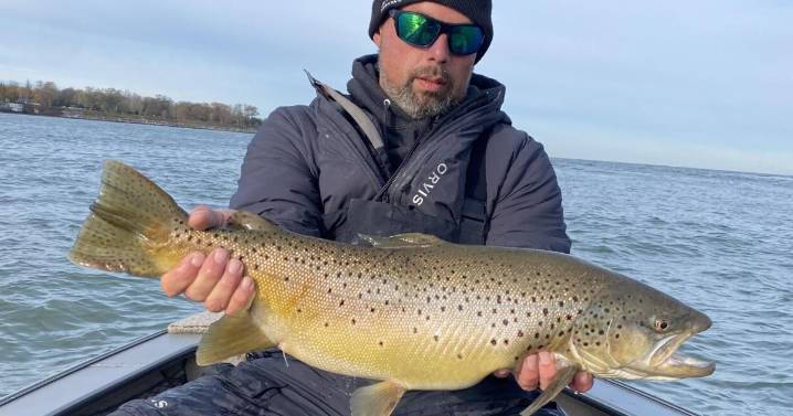 The Fishing Beat: Steelhead begin to fill tributaries