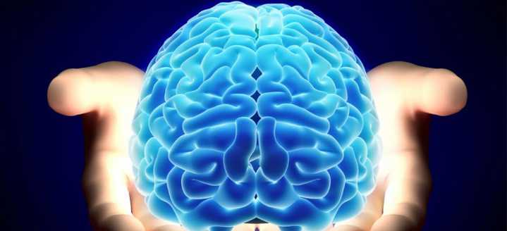 ¿Nacemos preparados para comprender el mundo?