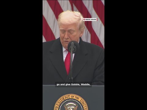 Trump pardons Thanksgiving turkeys Gobble and Waddle