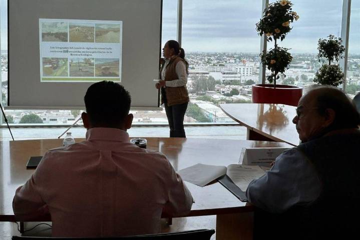 Refuerzan protección de la Sierra de Jimulco con vigilancia, reforestación y gestión de residuos