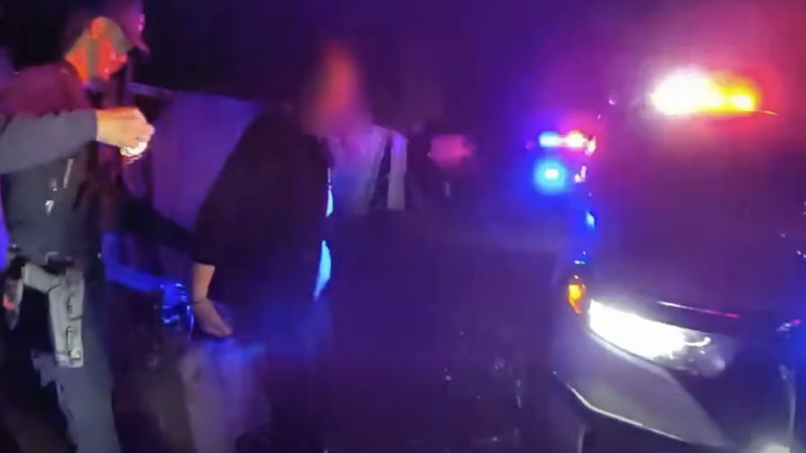 VIDEO: Deputies find woman in Spanaway backyard with M-80 type explosive and a lighter