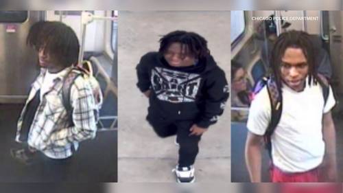 Chicago crime: Teen robbed at CTA Green Line 35th-Bronzeville-IIT station; police searching for suspects
