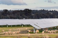 Own goal: why the Nationals’ retreat on net zero would be bad economics