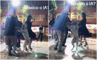 VIDEO: Perrito conquista TikTok al bailar en sonidero mexicano