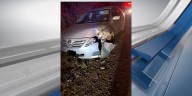 Driver arrested after ramming patrol vehicle in Shelby County, deputies say