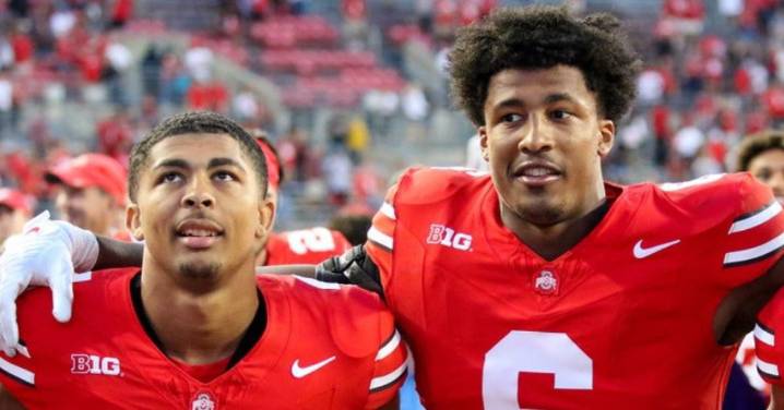 Emotions Run High as Sonny Styles & His Brother’s Unseen Act of Kindness for Ohio State Community Comes to Light