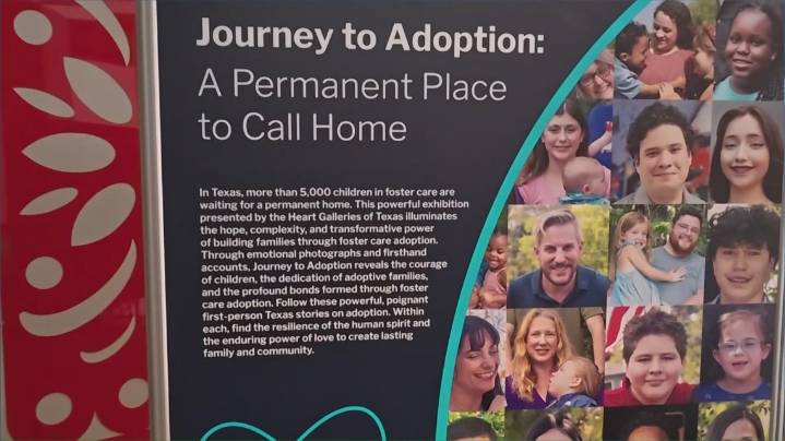 Finding a forever home: New exhibit at Bullock Museum highlights adoption success stories