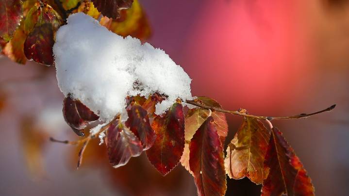 Snowflakes are in Canton weather forecast. Find out when snow arrives