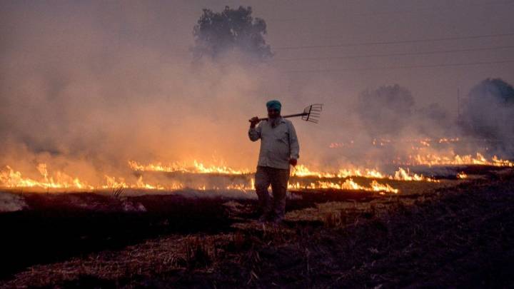 SC seeks action report from Punjab, Haryana as stubble fires worsen Delhi