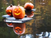 N.J. county to turn Halloween pumpkins green with recycling program